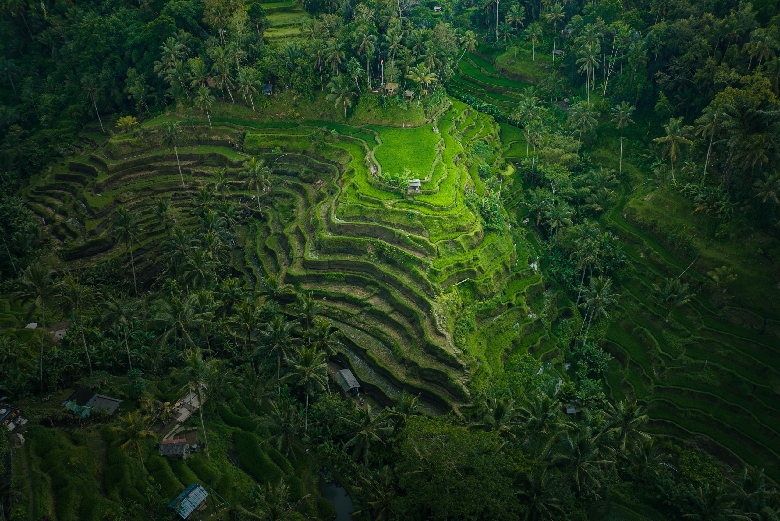 bali_23-1